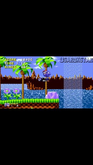 #shorts #sonicinfinitydx #sonic30thanniversary #sonicthehackable #shs #megagwolfsonichackshowcase #k