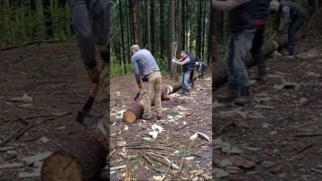 ПОРУБАС # 41 02.05.25 МИТИНО (ИННА, ФЕДОР, АЛЕКСАНДР, АЛЕКСЕЙ, АЛЕКСАНДР, ИЛЬДАР)