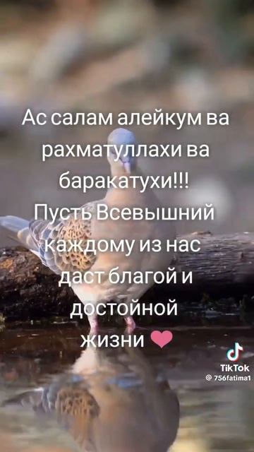 1000088698.mp4