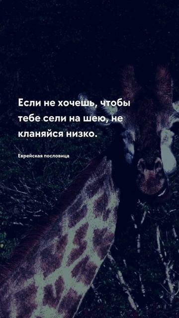 Если не хочешь Про жизнь цитаты #мудрость #будущее #цит