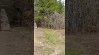 Хохловка часть вторая #Shorts