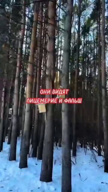 У них есть причина… #shorts #цитаты #психология #саморазв?