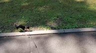 ВЛОГ.ПРИЕХАЛИ В ВОРОНЕЖ|ТОРГОВЫЙ ЦЕНТР|2 ПАРКА.