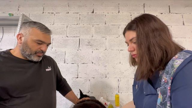 Собаке Вене отрубили лапы/Жизнь после издевательств живодёра