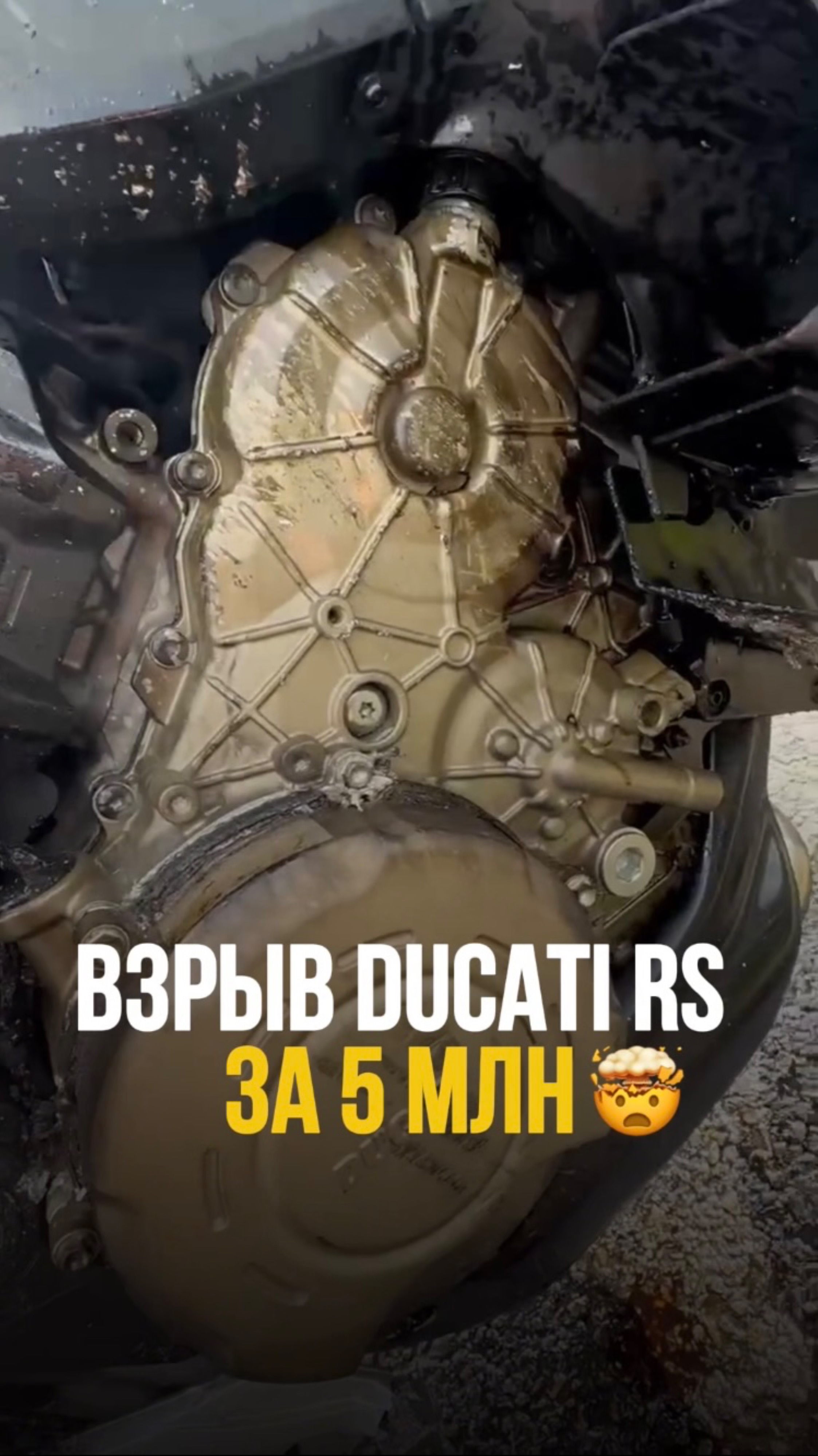 Что думаете? Японца надо брать?