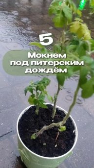Как сделать поездку незабываемой.mp4