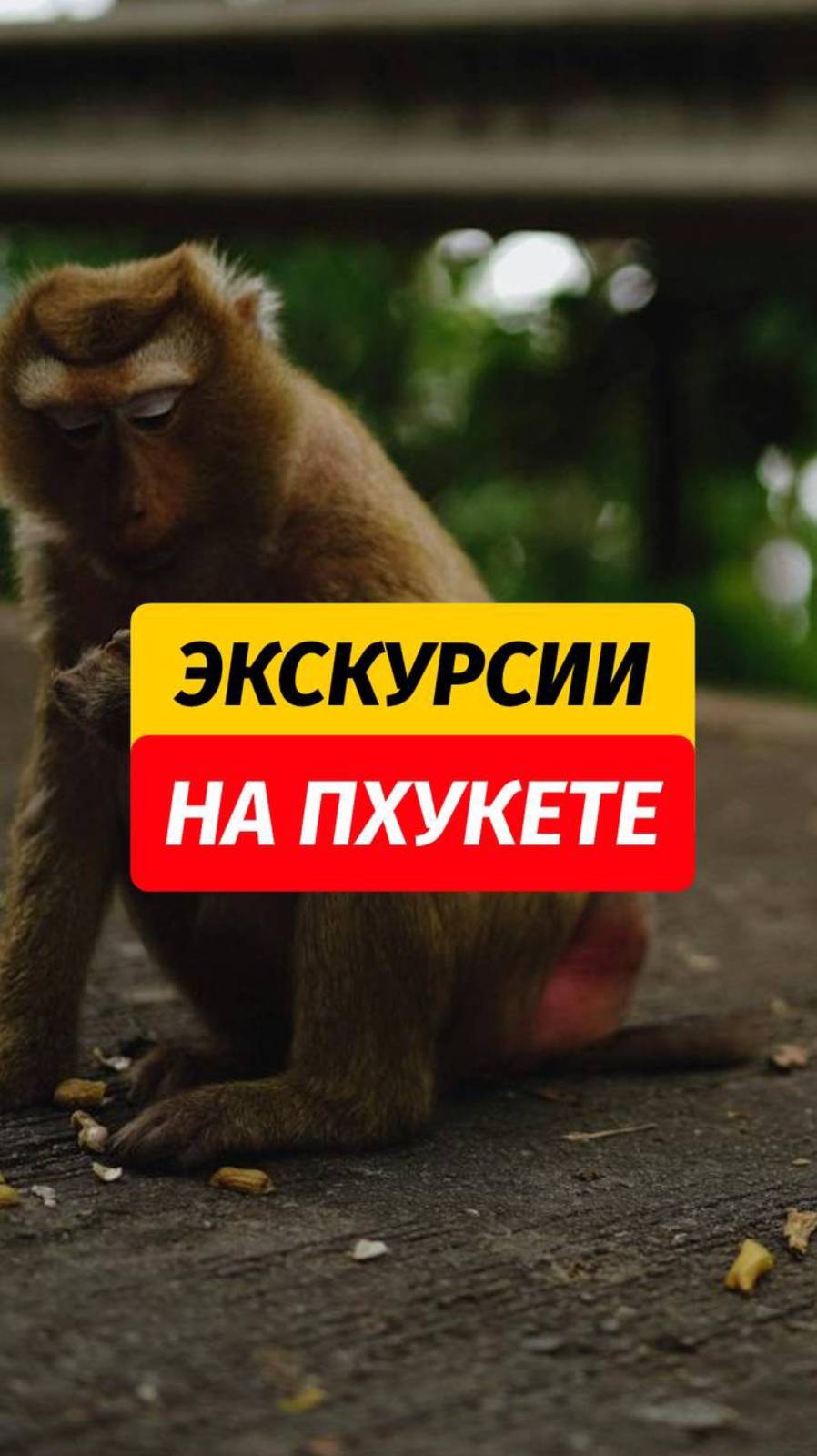Пишите в комментариях «ПРАЙС» расскажу подробнее о программах 🤗🙏  Здесь есть БЕСПЛАТНЫЕ гайды по П