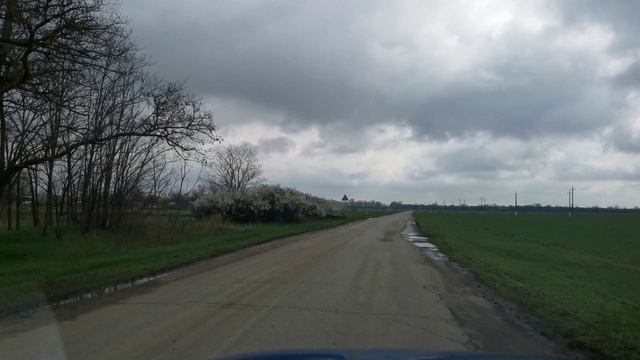 Зацвели терновые заросли