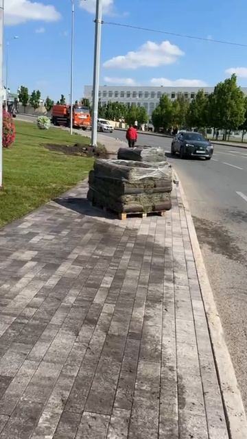 Балтийские газоны. Наши газоны.