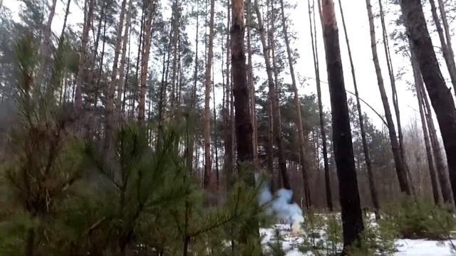 Лесной Штурм. Гранаты. Противостояние