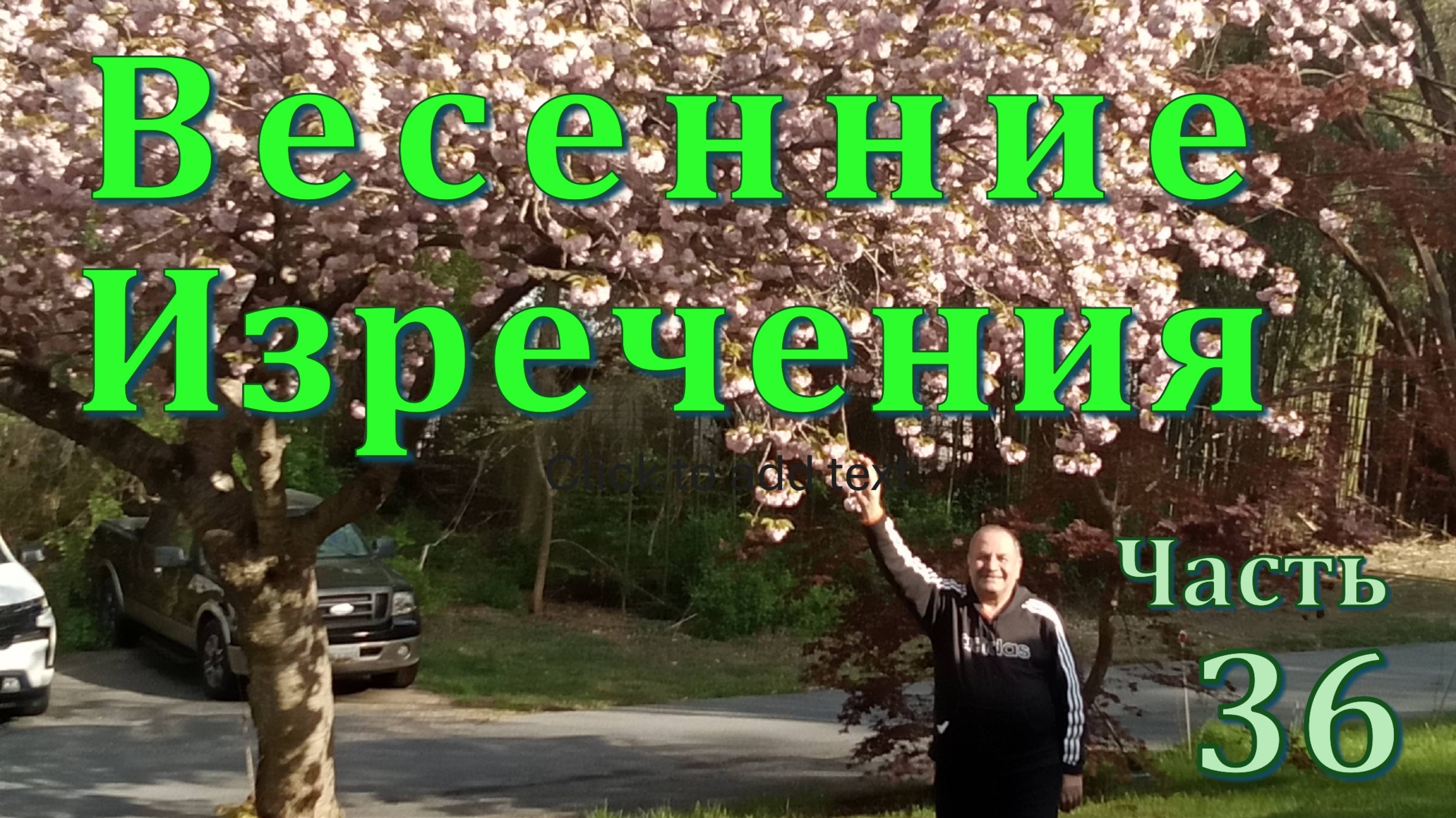 Современные изречения.  Повседневных мысли короткие поговороки,  афоризмыЧасть 36