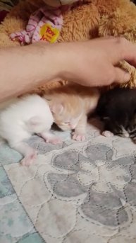 1000844070.mp4