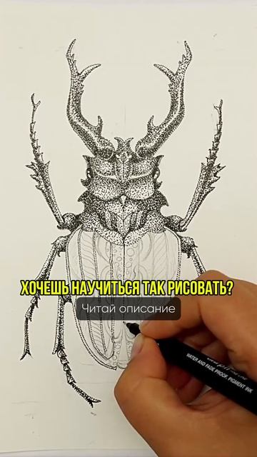Бесплатные уроки тут 👇 (5)