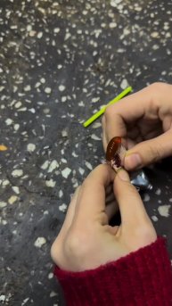 Мы в ТГ https://t.me/mukbang_russia