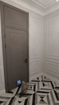 даже у кота есть своя дверь #ремонт #двери #дизайн #диза