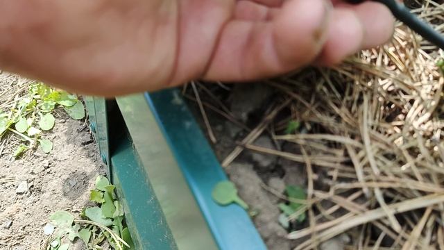 капельный полив от водопровода в теплицу и клубнику