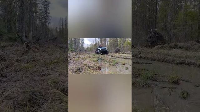 В Карелии-Жить!