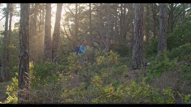 Почему йоги используют эту мелодию для медитации - meet-n-jam -- Jean Toba -- a land where the poets