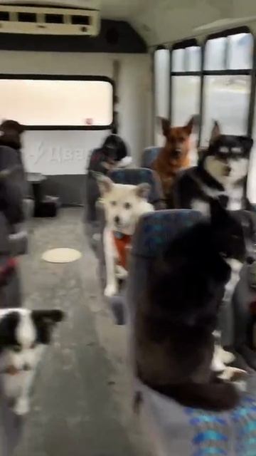 1000039616.mp4