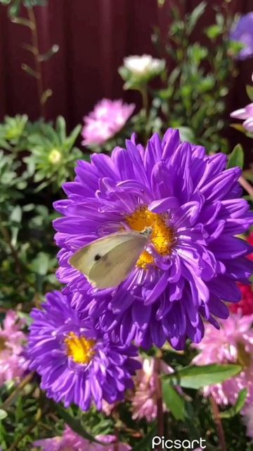 Good Afternoon 🏵Добрый день 🌻Хайрли кун 🌹