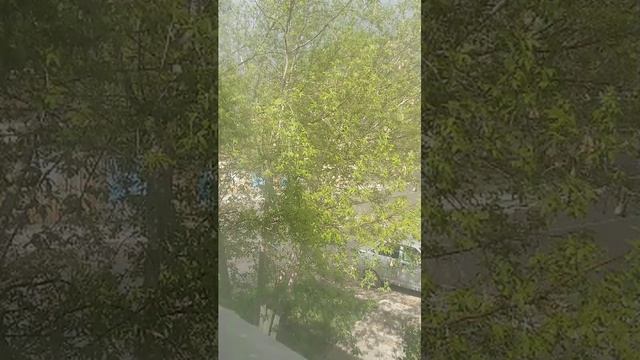 день победы 80 лет