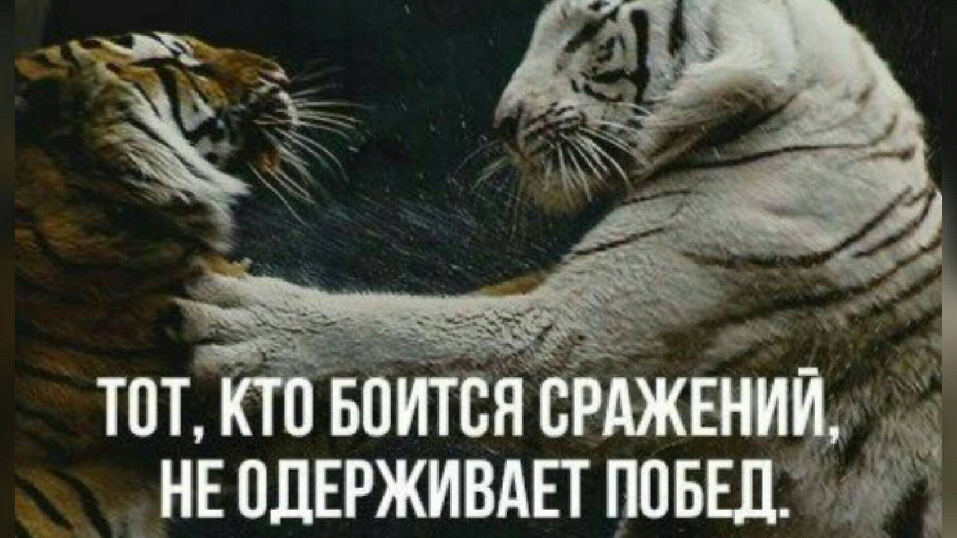 Убиваю надежду на победу!