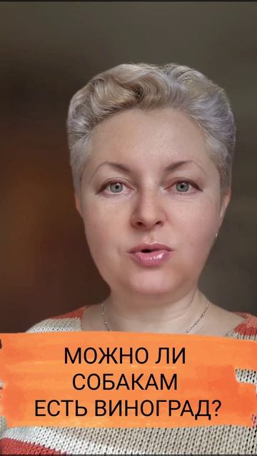 🐕📝🐾 Можно ли собакам есть виноград?