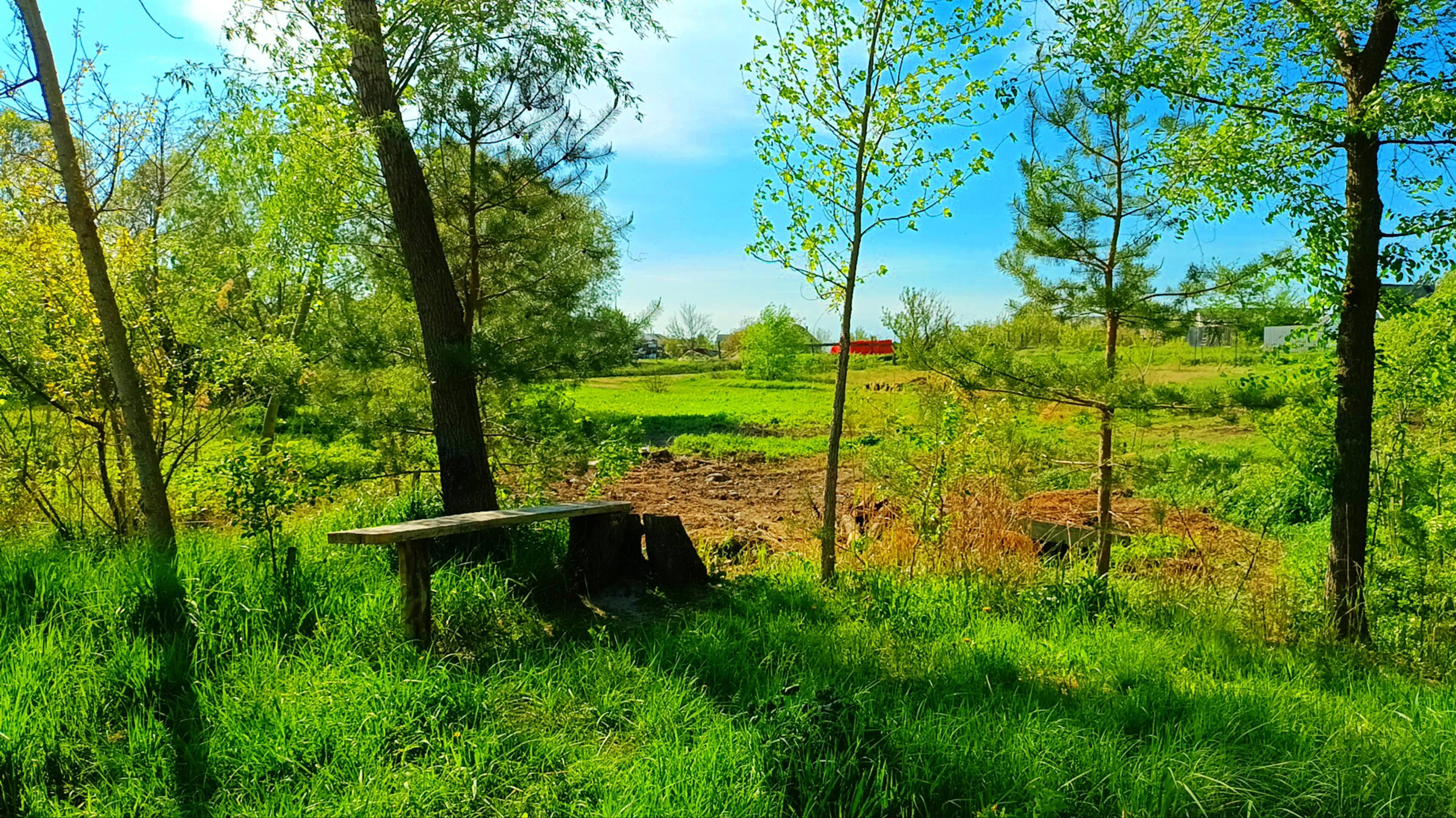 Прогулка перед учёбой