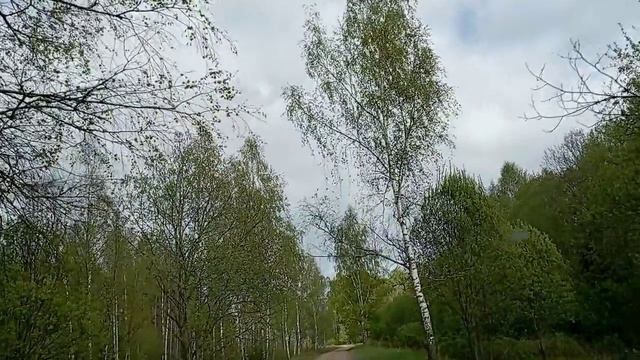 Выходной в деревне