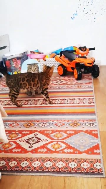Когда твой друг шутник, и игры у него странные. Нужно б?
