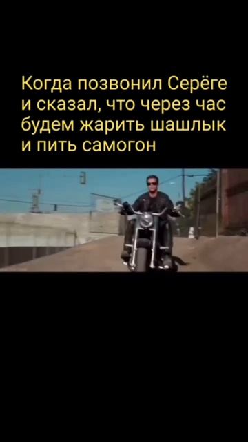 Майские же 🍢🍡 #мотодрузья #мотоюмор
