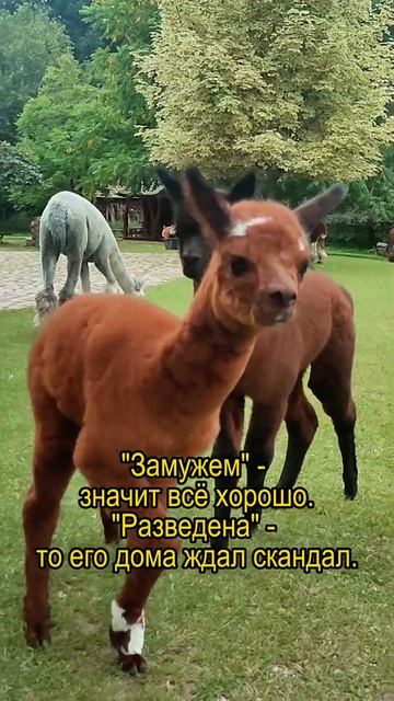 Жена узнала про любовницу