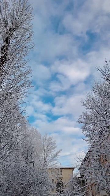 Москва в зимней сказке ❄️