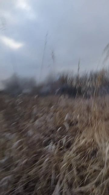 Испытание заряда 500 грамм.