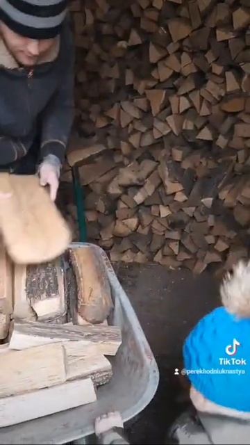 Когда в доме есть мужчины, то зима не страшна...