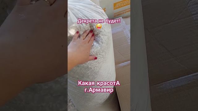 Мини-питомник сам себя не построит! #гортензии#любимое
