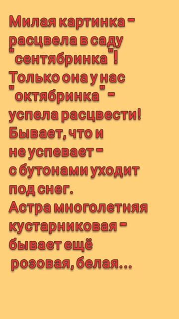 #Картинки_осени 8