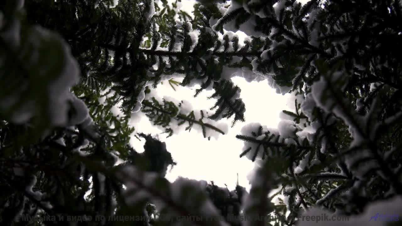 Он заставит тебя мечтать о чем-то большем! - Montevideo -- Duncan Reid and the Big Heads -- Live at