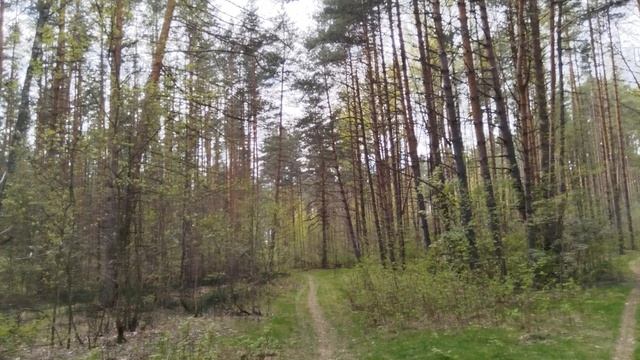 Счастливый май, любимый край