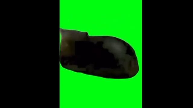 кот уииаиуиууиаки