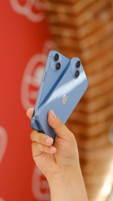iPhone 14 и 14 Plus в голубом цвете