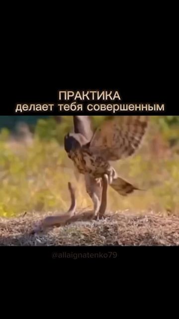 Практика