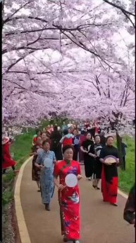 🌸 🇨🇳 В китайской провинции Гуйчжоу есть район Пинб?