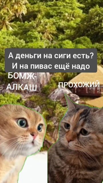 Слыш, деньги есть? #2024 #shorts #кот #котики #коты #мем #мемы #m