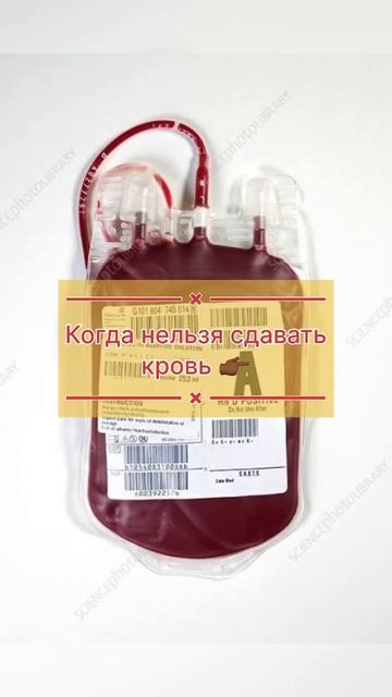 Когда нельзя сдавать кровь😨 вы точно не знали😳 #зож #