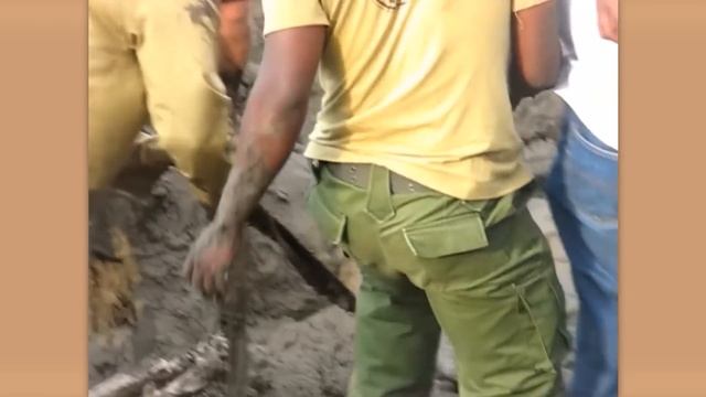 ЭТОТ_ОДИНОКИЙ_ЛЕВ_УМИРАЛ_ОТ_ГОЛОДА,_ПОКА_ВДРУГ_НЕ_ВСТРЕТИЛ_ЧЕЛОВЕКА