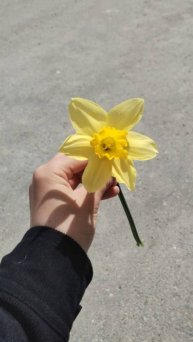 С сестрой рисовашкой