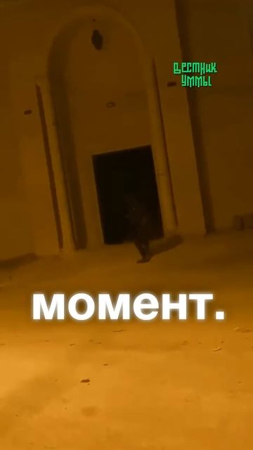 Граната во время азана. Реальные кадры…