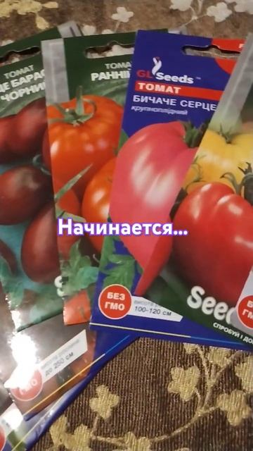 Когда магазин семян по дороге домой🤗#семена