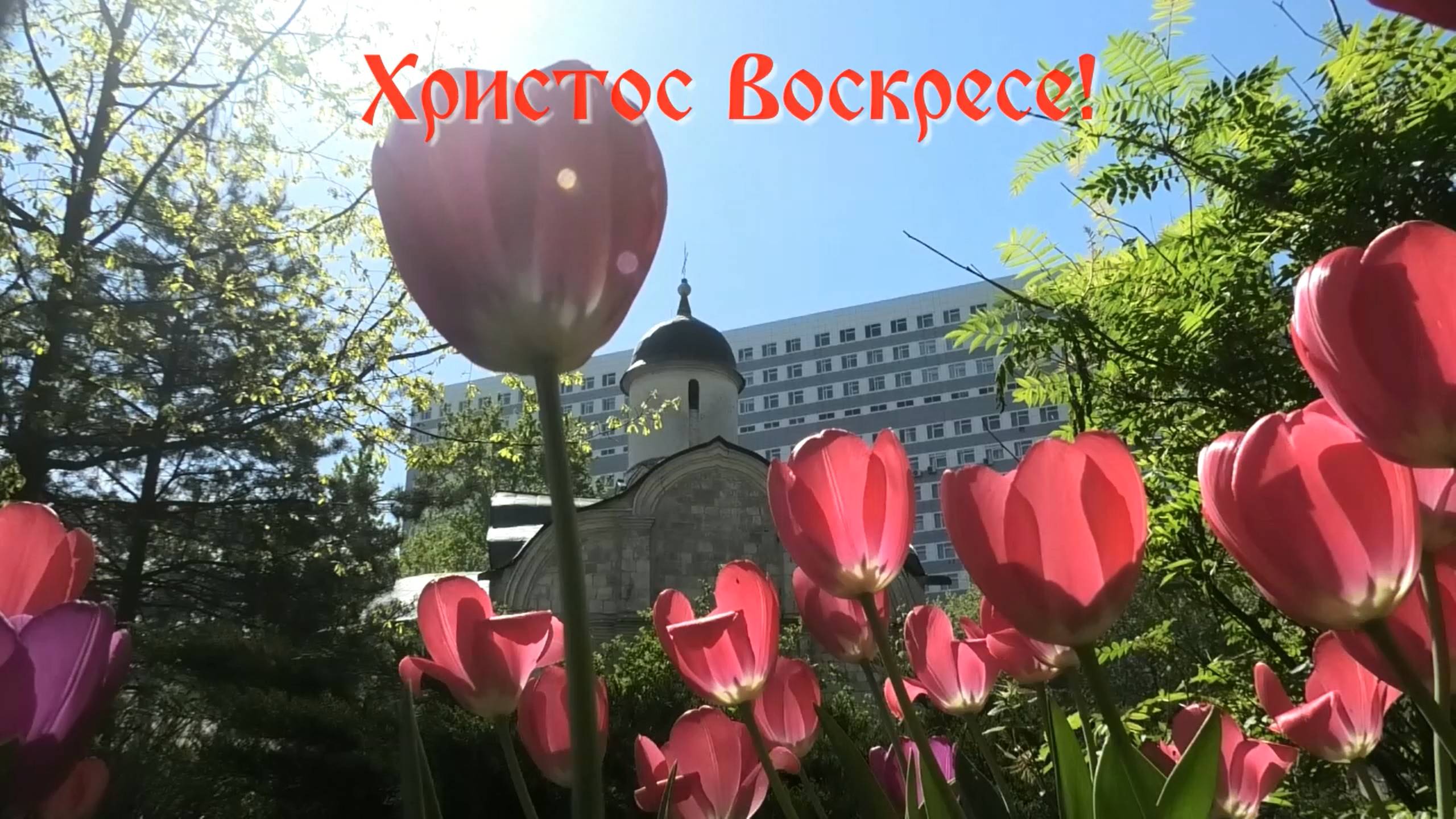 2025-05-04 Детский пасхальный праздник